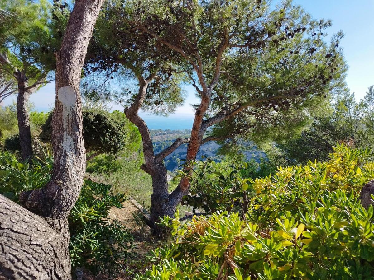 Ferienwohnung Sweet Calanque - Host Provence Cassis Exterior foto